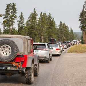 Cars lined up to enter Yellowstone National Park