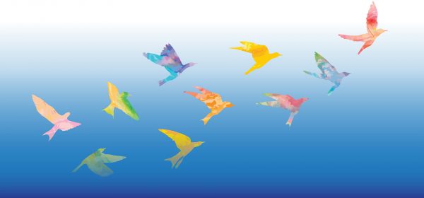 Illustration of multi colored birds in flight