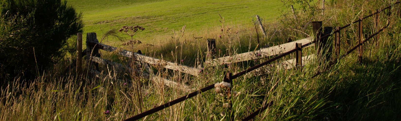 Fence