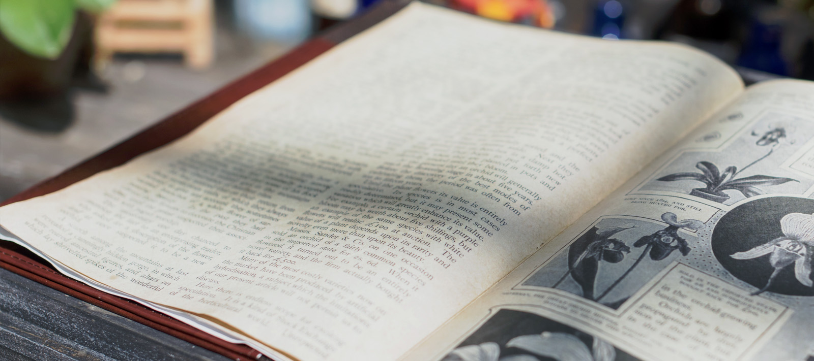 Dane Vanhoozer Writes for the Colorado Encyclopedia