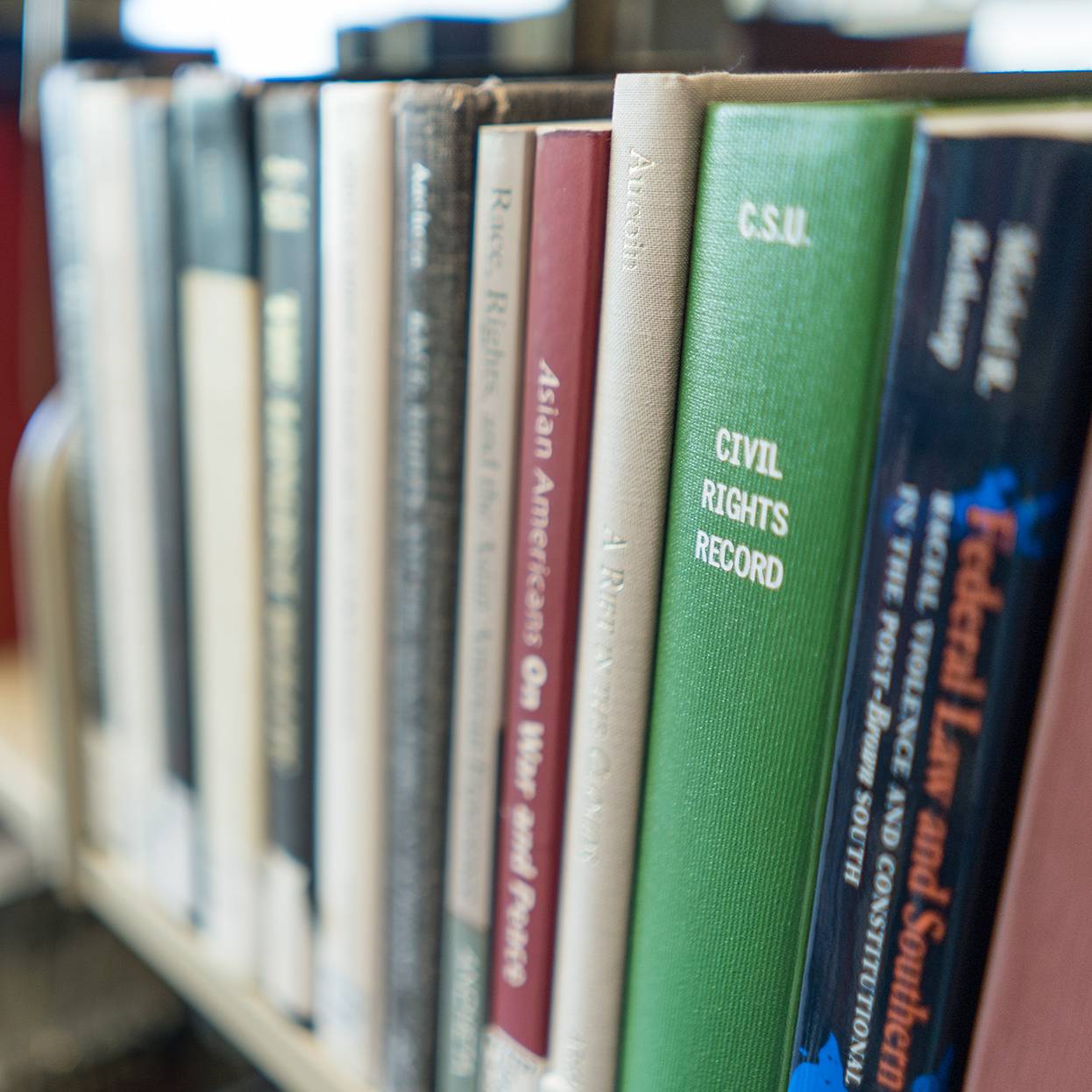 Students think creatively about information thanks to CSU Libraries, History Department partnership