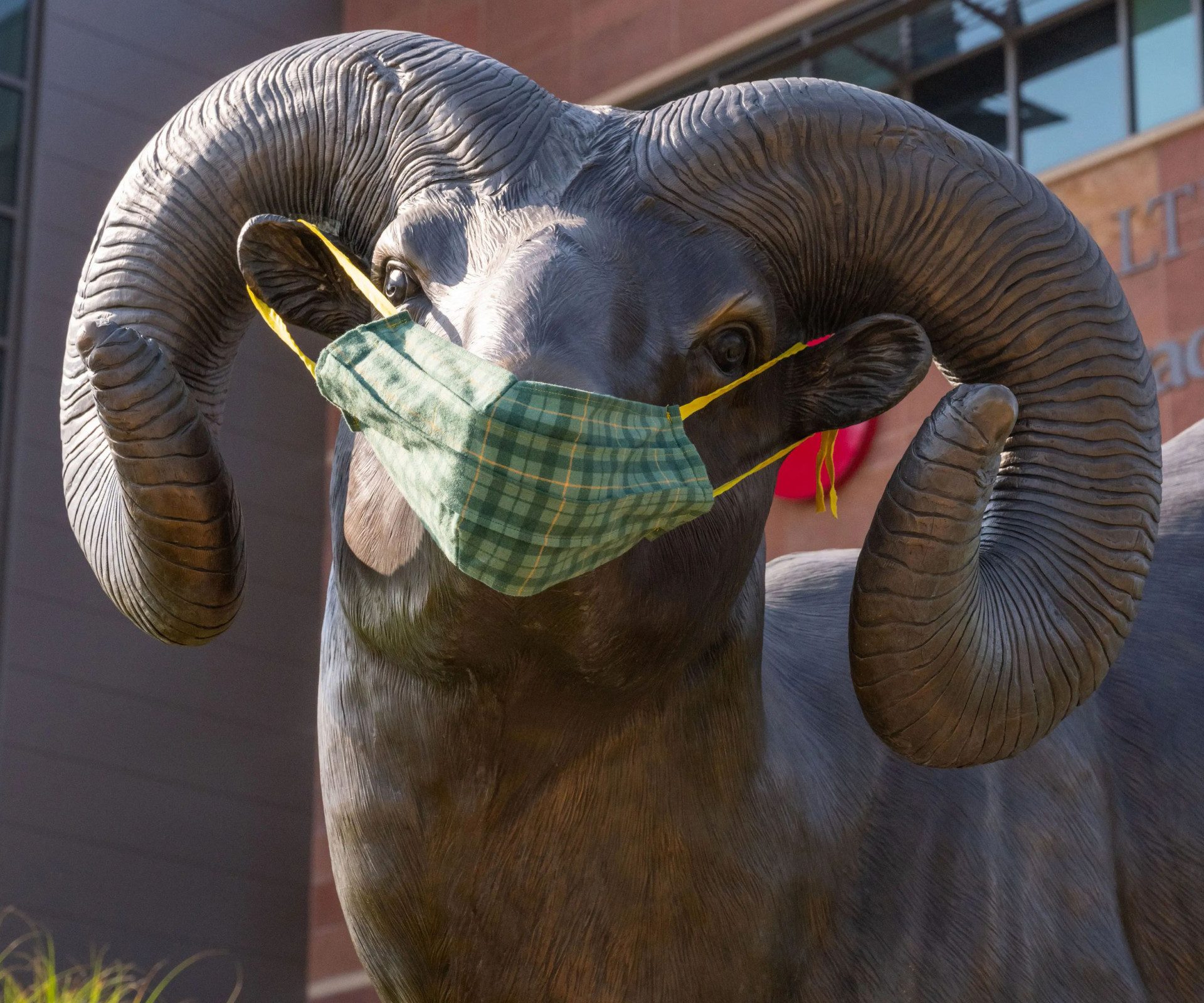 Ram Stories team will interview 200 CSU students to document their COVID-19 pandemic experiences