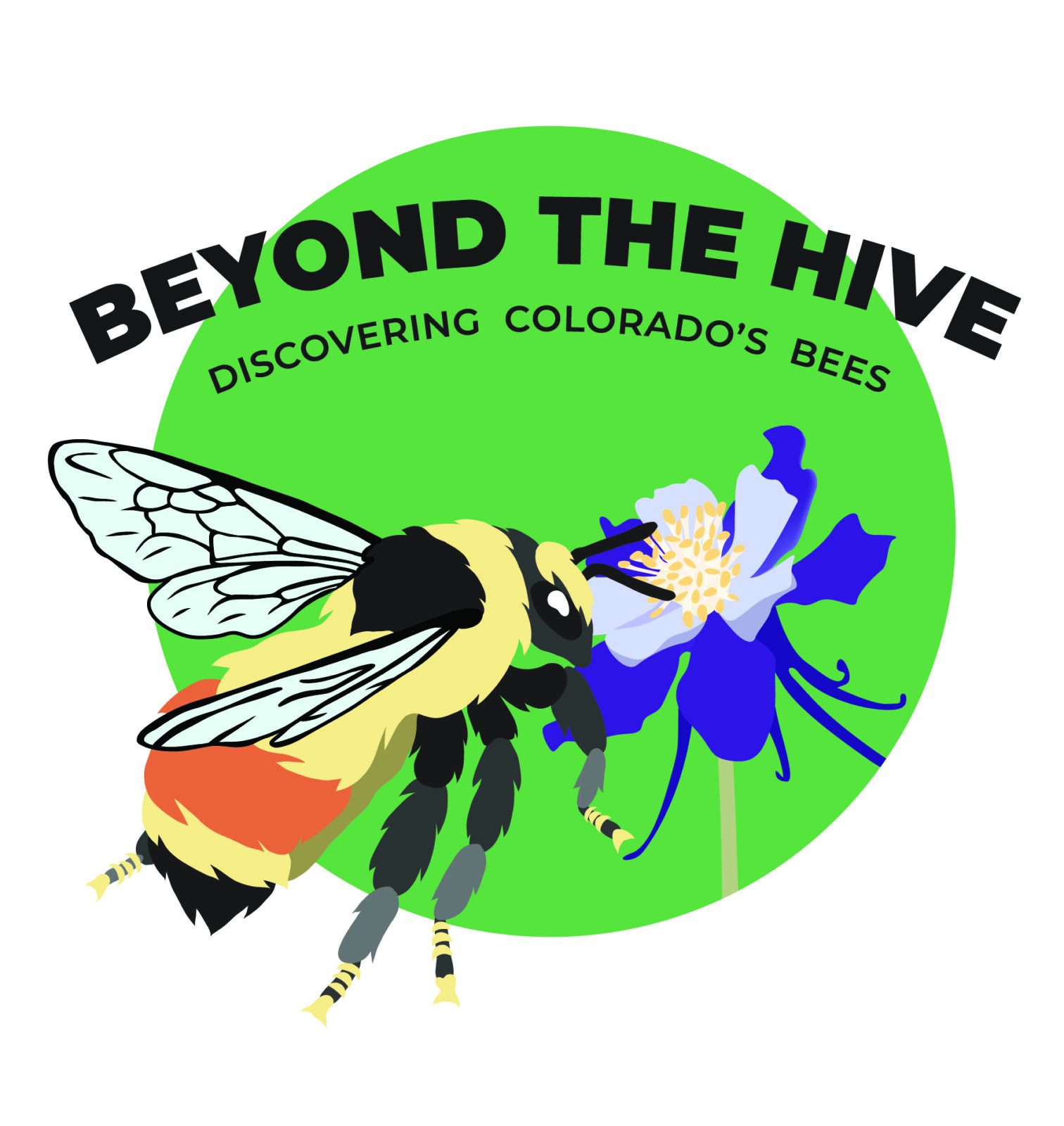 Butterfly Pavilion, CSU launch exhibit on Colorado’s native bees